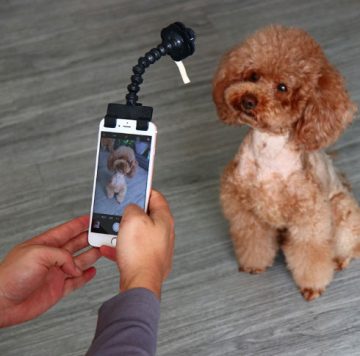 Dog Selfie Stick