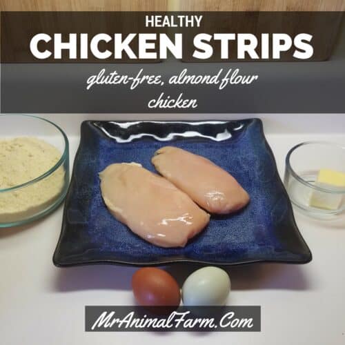 25 Cheap and Easy Healthy Meals for Families of 4 or more!