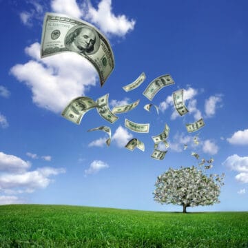 We all wish money grew on trees! Earning a 7 figure salary might feel like money coming from the blue sky on a clear day. 