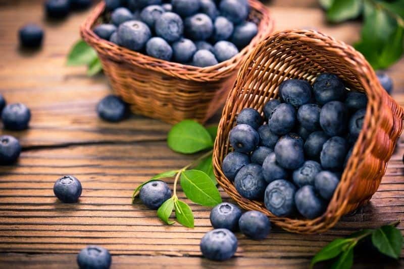 cheap foods blueberries