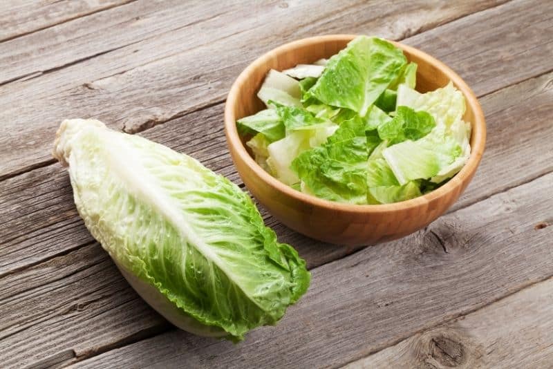 romaine lettuce