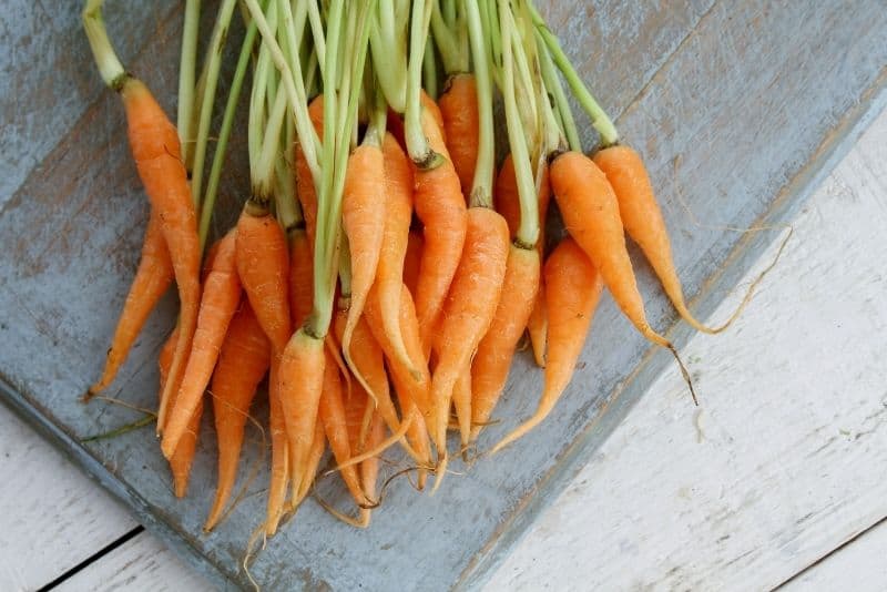 baby carrots