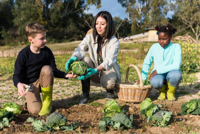 Family gardening together to save money.