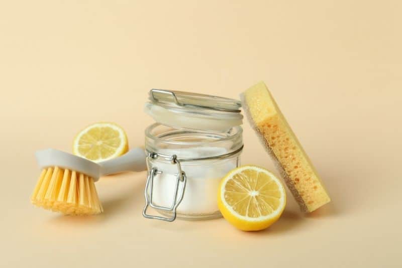 a jar of salt cut lemons scrub brush sponge