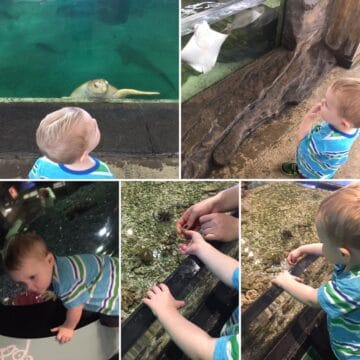 Dallas Children's Aquarium