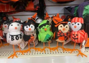 Costumed Dollar Tree birdies.