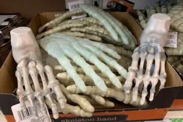 Skeleton head and feet at the Dollar Tree.