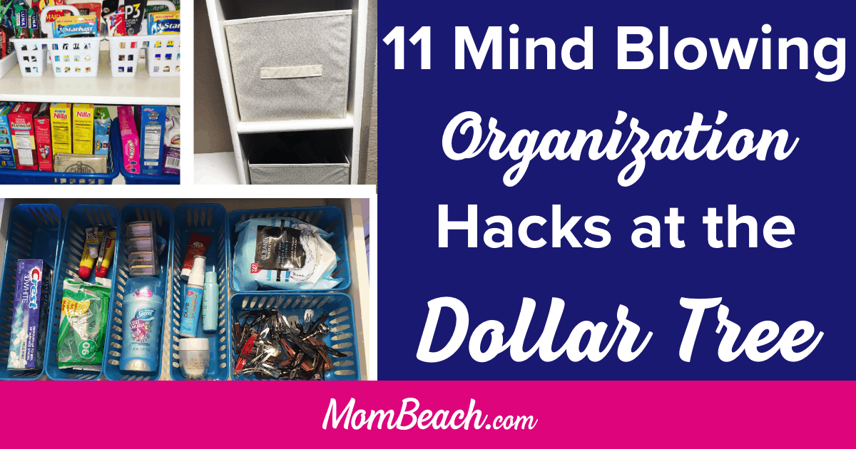 11 Mind Blowing Dollar Tree Organization Hacks 11 Mind Blowing Dollar Tree Organization Hacks