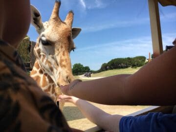 Fossil Rim Wildlife Park