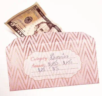 Use the cash envelope system to track your spending by writing each time you take out money.