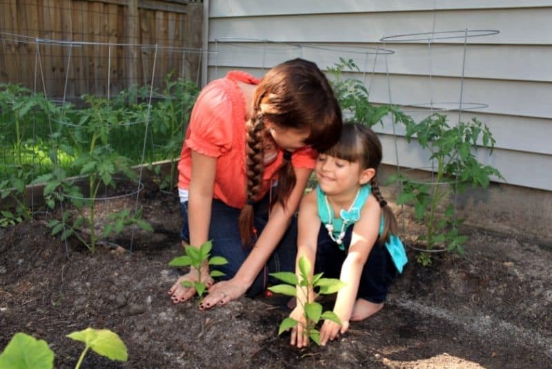 Mom and child growing a garden in their backyard.