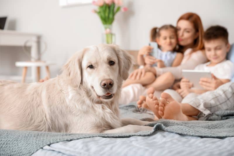 Family at home with dog.