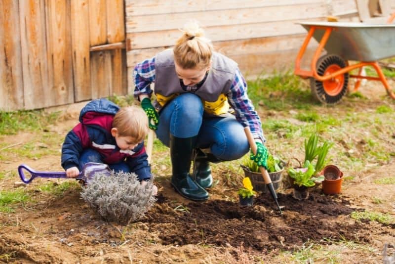 Mom and son gardening to save money at home.