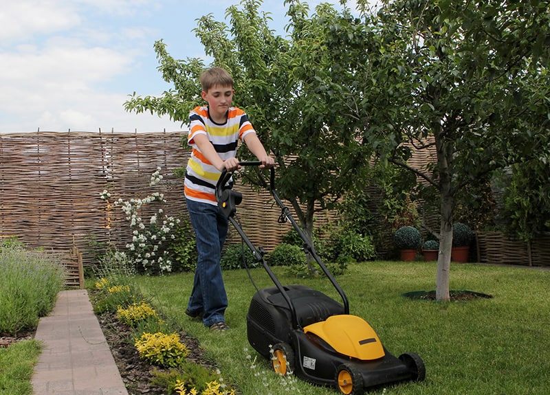 how to make money as a kid - lawn care