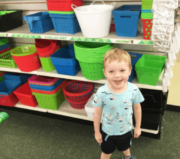 dollar tree organizing