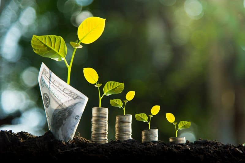 Money growing.