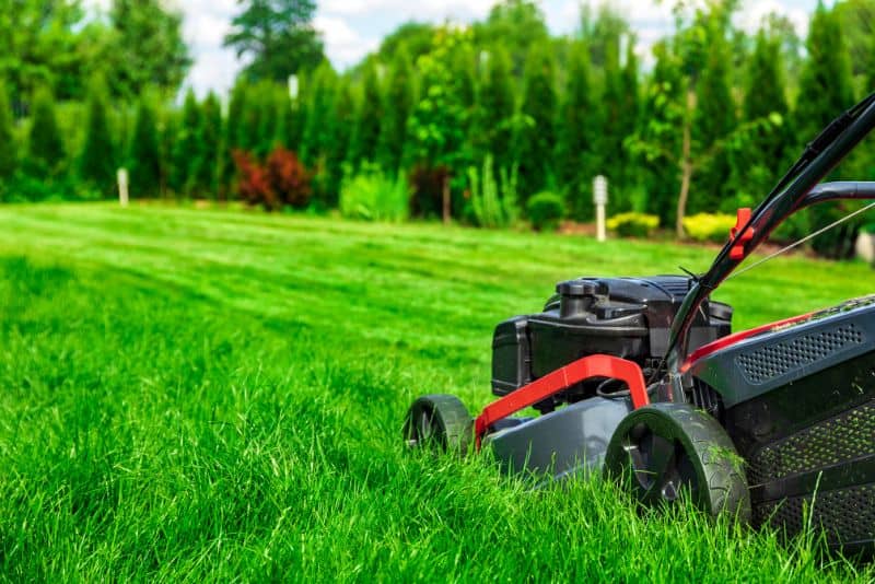 Person mowing the lawn to make money