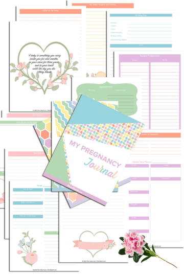 Explore the pages of this amazing pregnancy journal to help you plan for your new baby