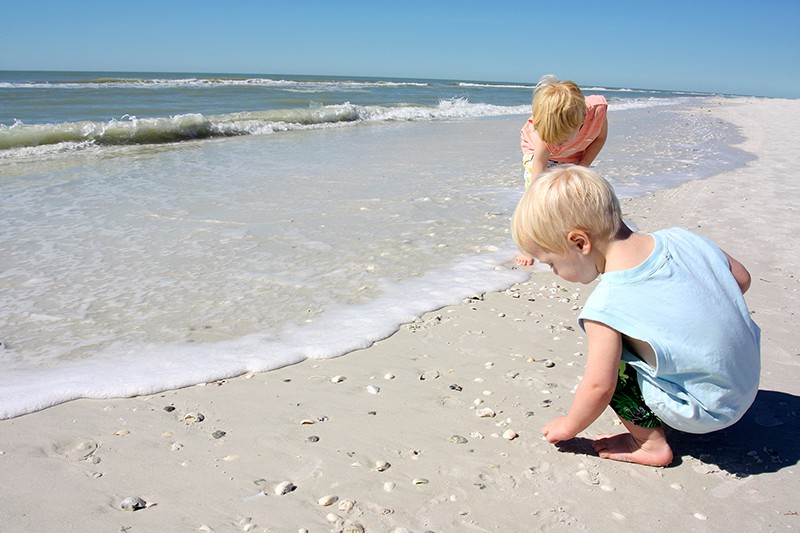 seashell activities for kids