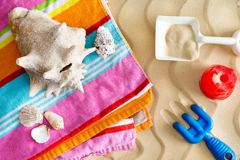 seashell activities for kids