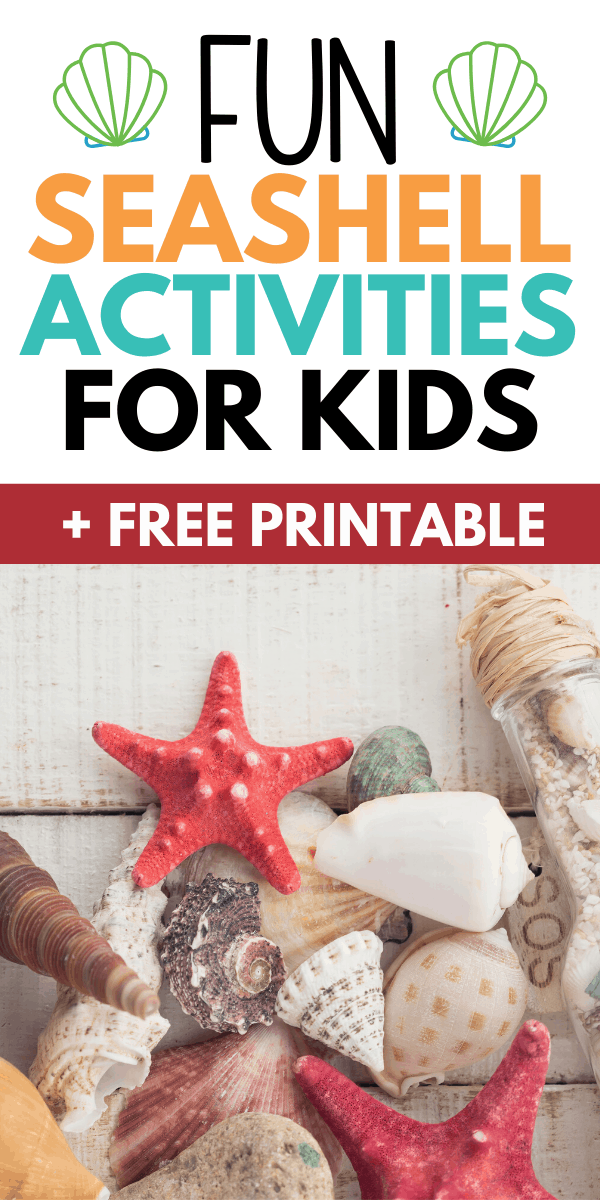 Seashell Activities for Kids Free Seashell Activity Printables