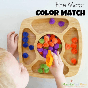 Fine Motor Color Sorting Activity