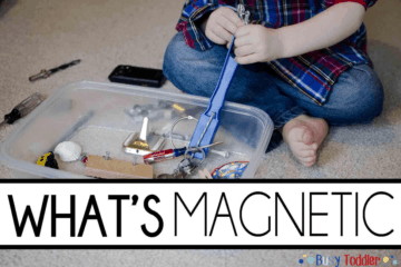 What's Magnetic? A Toddler Science Activity