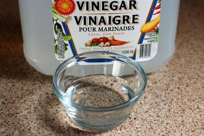 vinegar bottle and vinegar in small glass bowl to use for cleaning