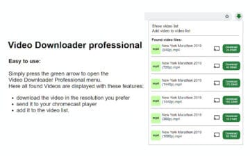 Screenshot of video downloader professional.